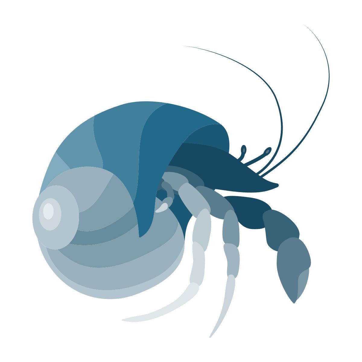 hermit crab icon