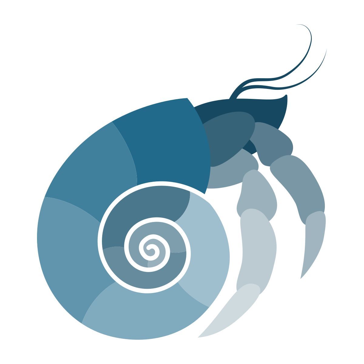 hermit crab icon