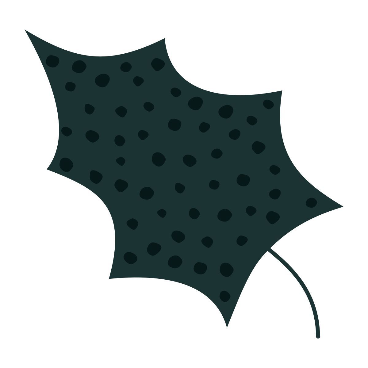 blatt icon