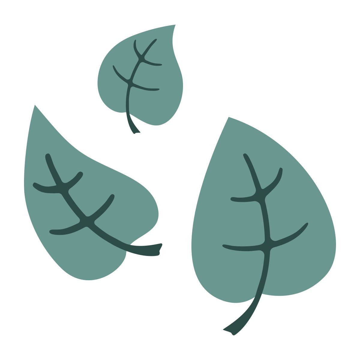 leaves icon