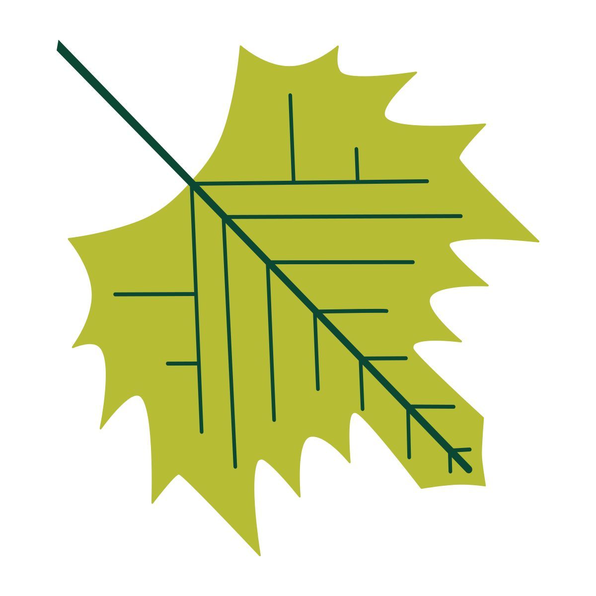 maple leaf icon