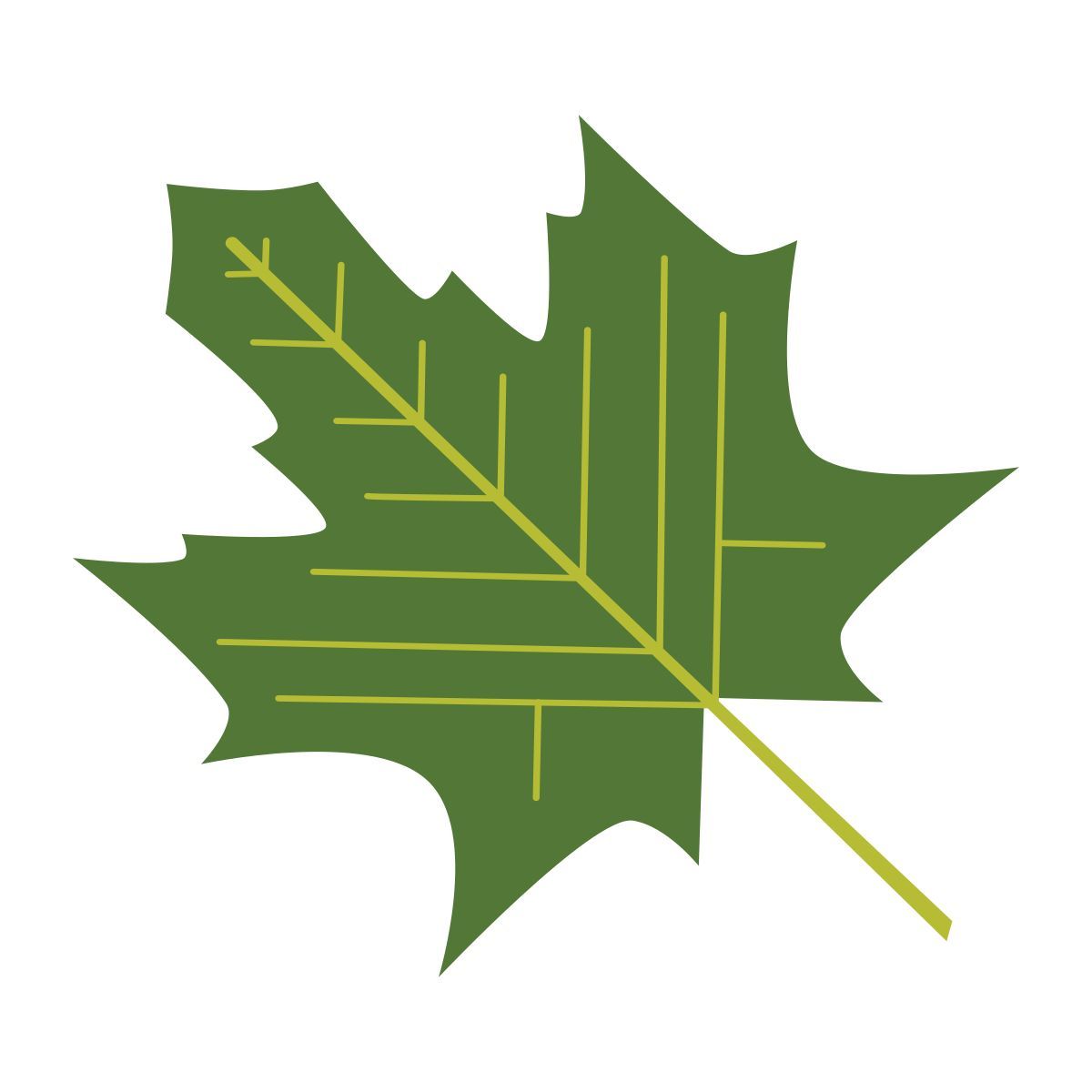 maple leaf icon