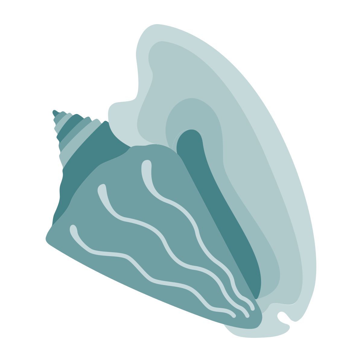 seashell icon