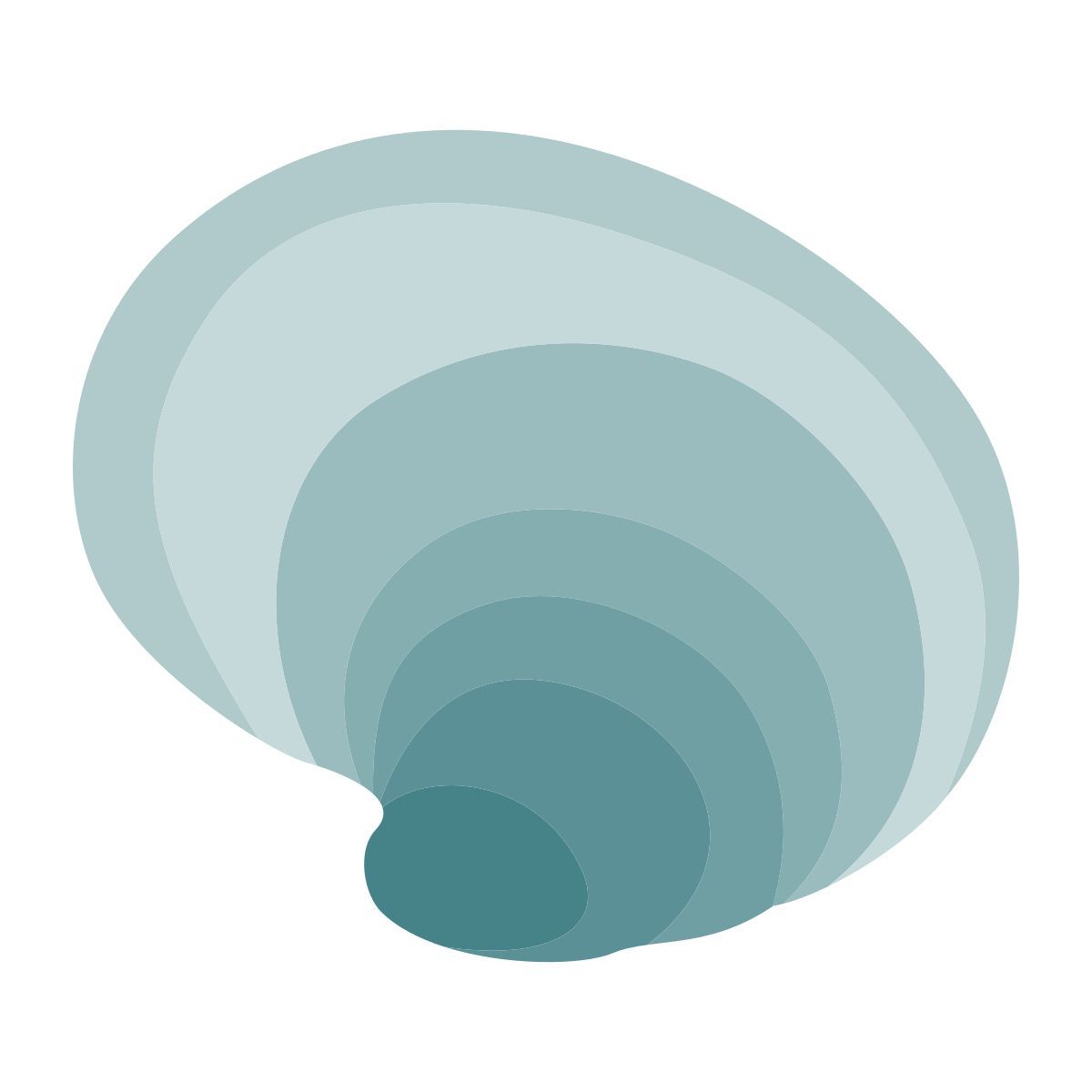 외부 조개 껍질 개체 색상 edt.graphics 9 icon