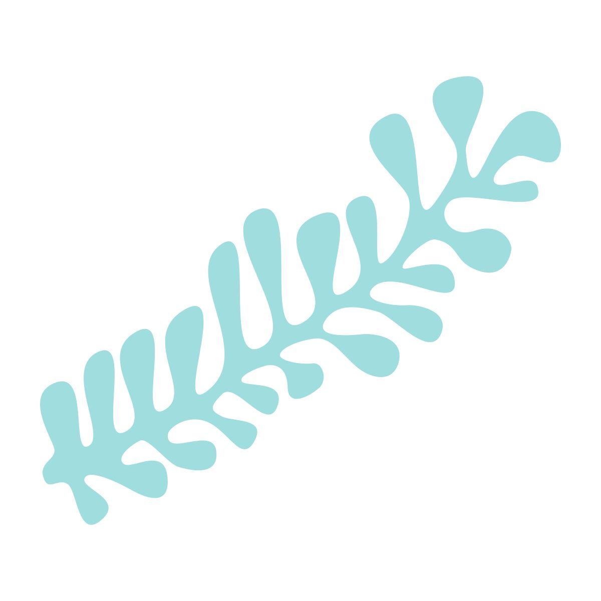 seaweed icon