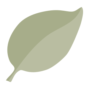 external Leaf-leaves-objects-color-edt.graphics-27 icon