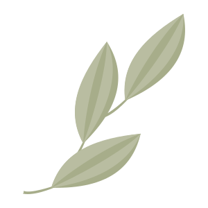 external Leaves-leaves-objects-color-edt.graphics-4 icon