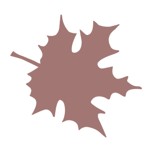 external Maple-leaf-maple-leaves-objects-color-edt.graphics-20 icon