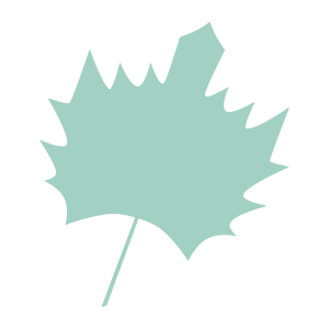 external Maple-leaf-maple-leaves-objects-color-edt.graphics-21 icon
