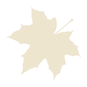 external Maple-leaf-maple-leaves-objects-color-edt.graphics-23 icon
