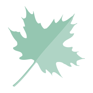 external Maple-leaf-maple-leaves-objects-color-edt.graphics-24 icon