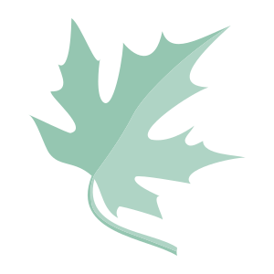 external Maple-leaf-maple-leaves-objects-color-edt.graphics-25 icon