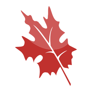 external Maple-leaf-maple-leaves-objects-color-edt.graphics-27 icon