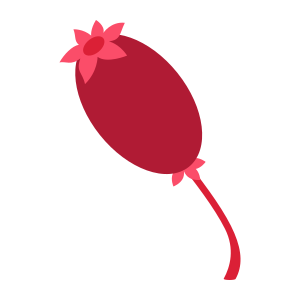 external Rosehip-berries-objects-color-edt.graphics icon