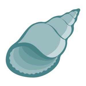 external Seashell-shells-objects-color-edt.graphics-17 icon