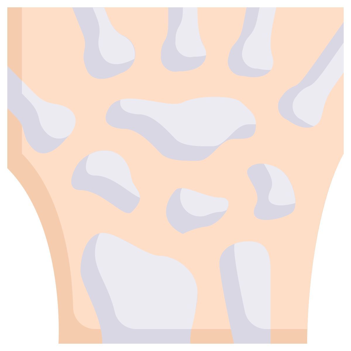 anatomy icon
