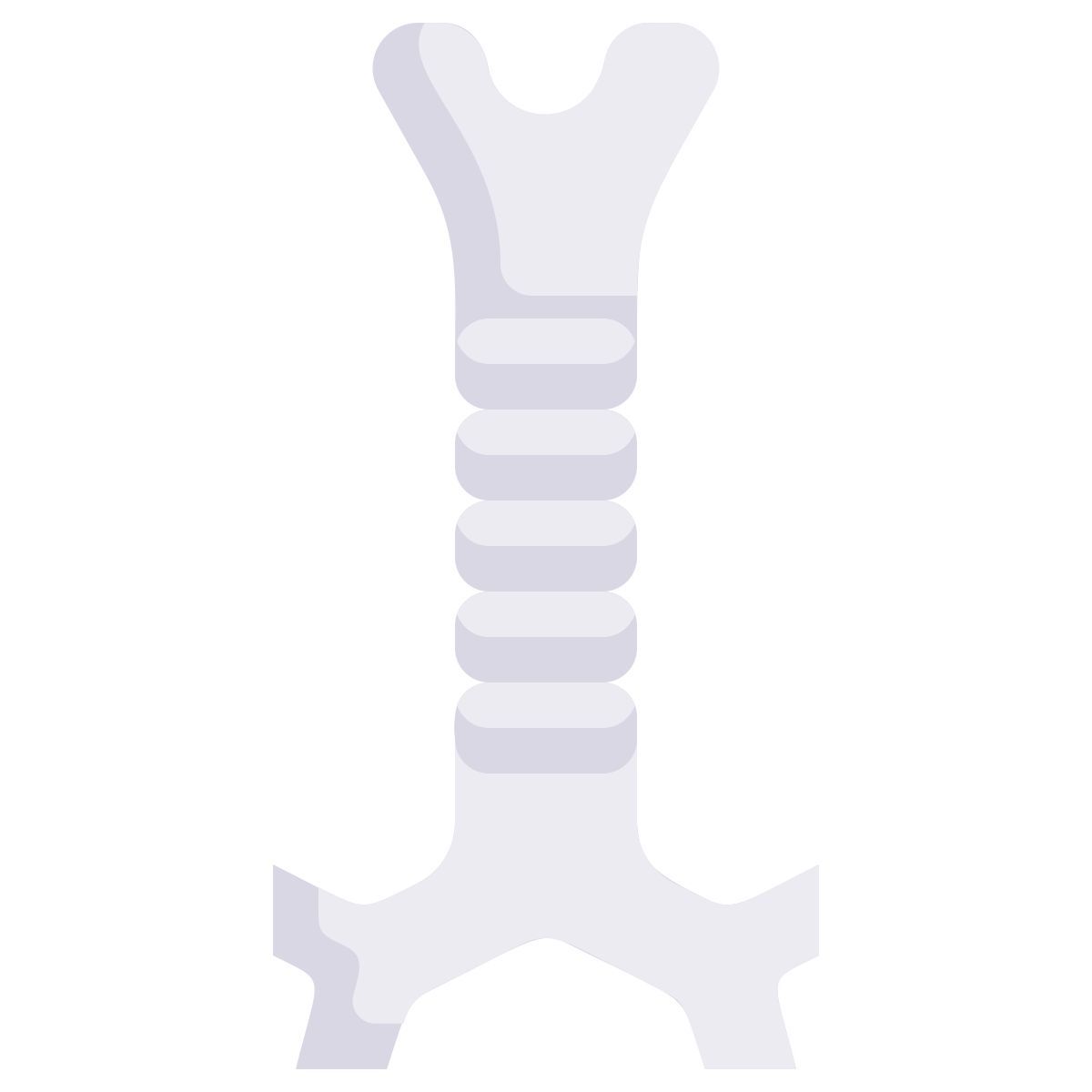 anatomie icon
