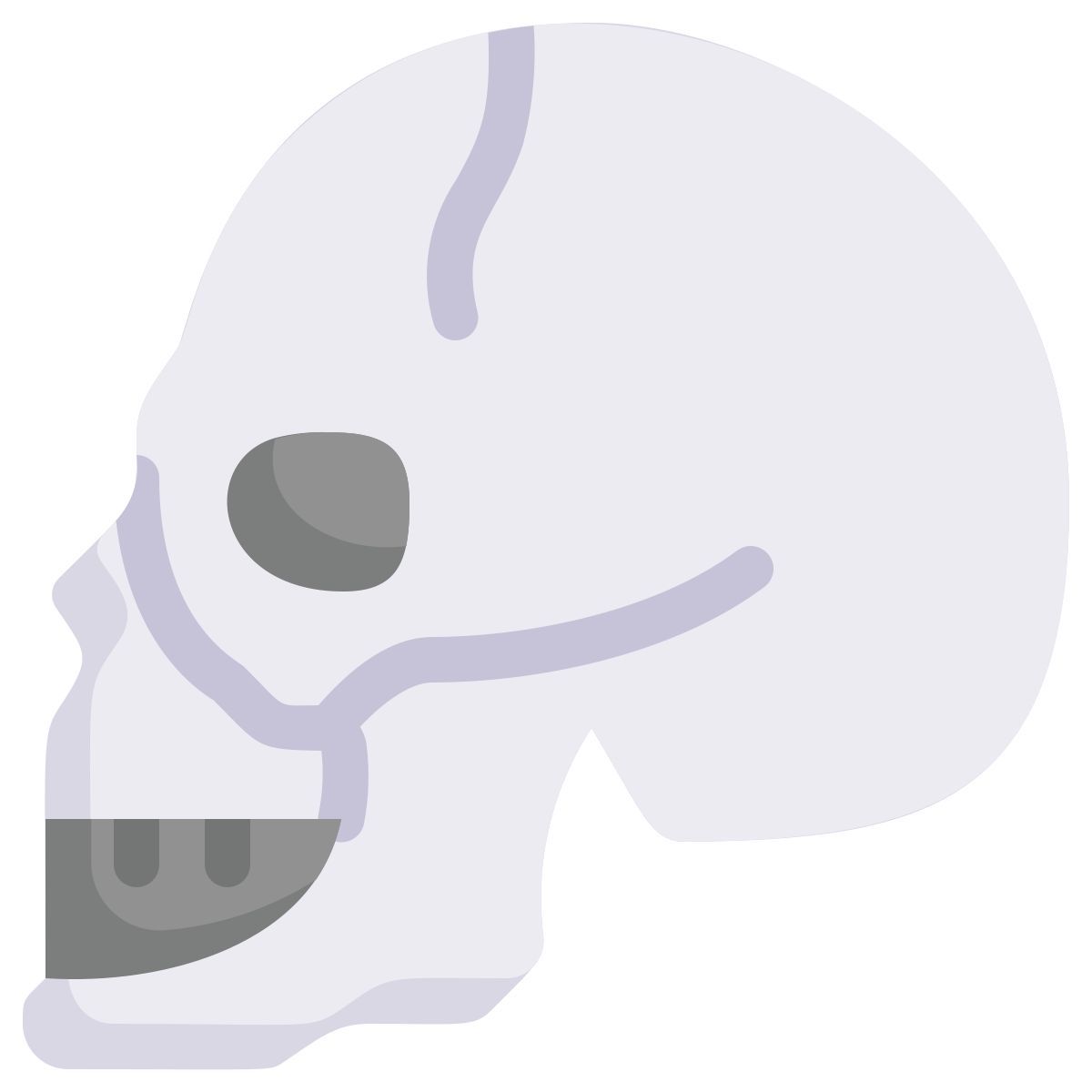 anatomy icon