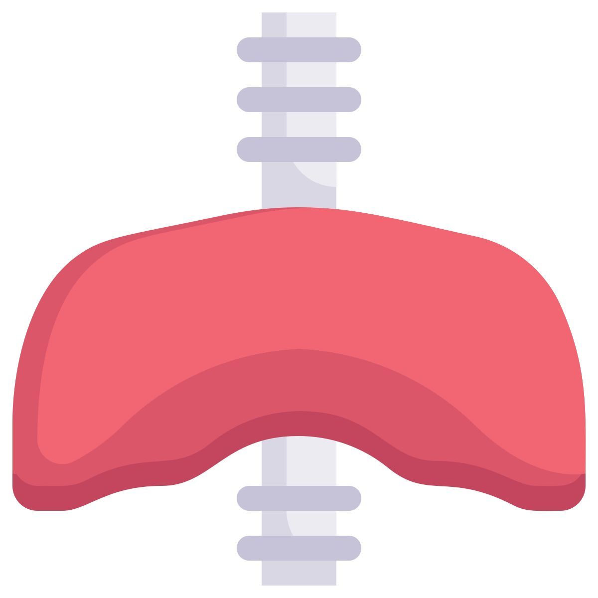anatomy icon