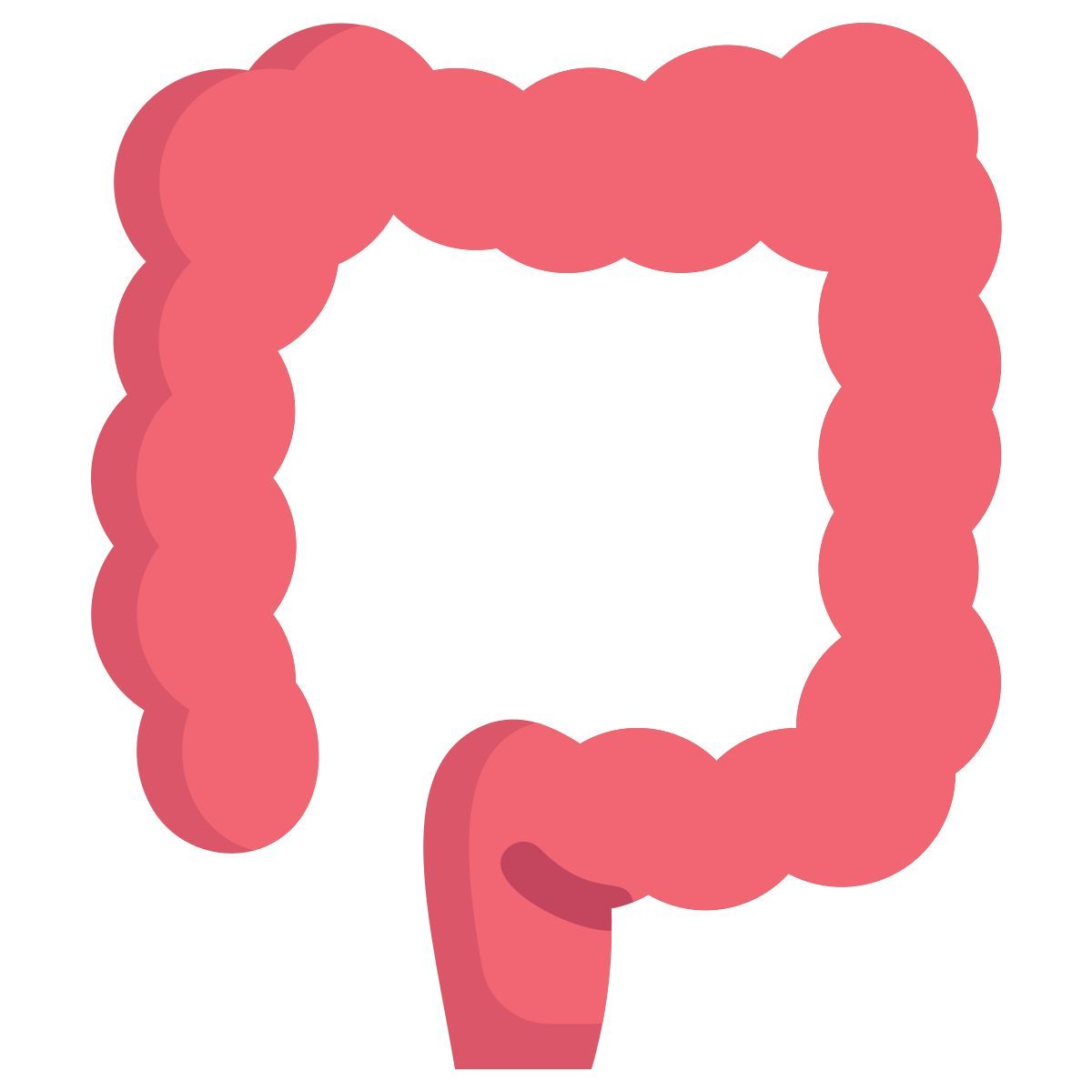 anatomy icon