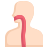 external anatomy-anatomy-flat-obvious-flat-kerismaker-2 icon