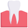external dental-care-dental-flat-obvious-flat-kerismaker-5 icon
