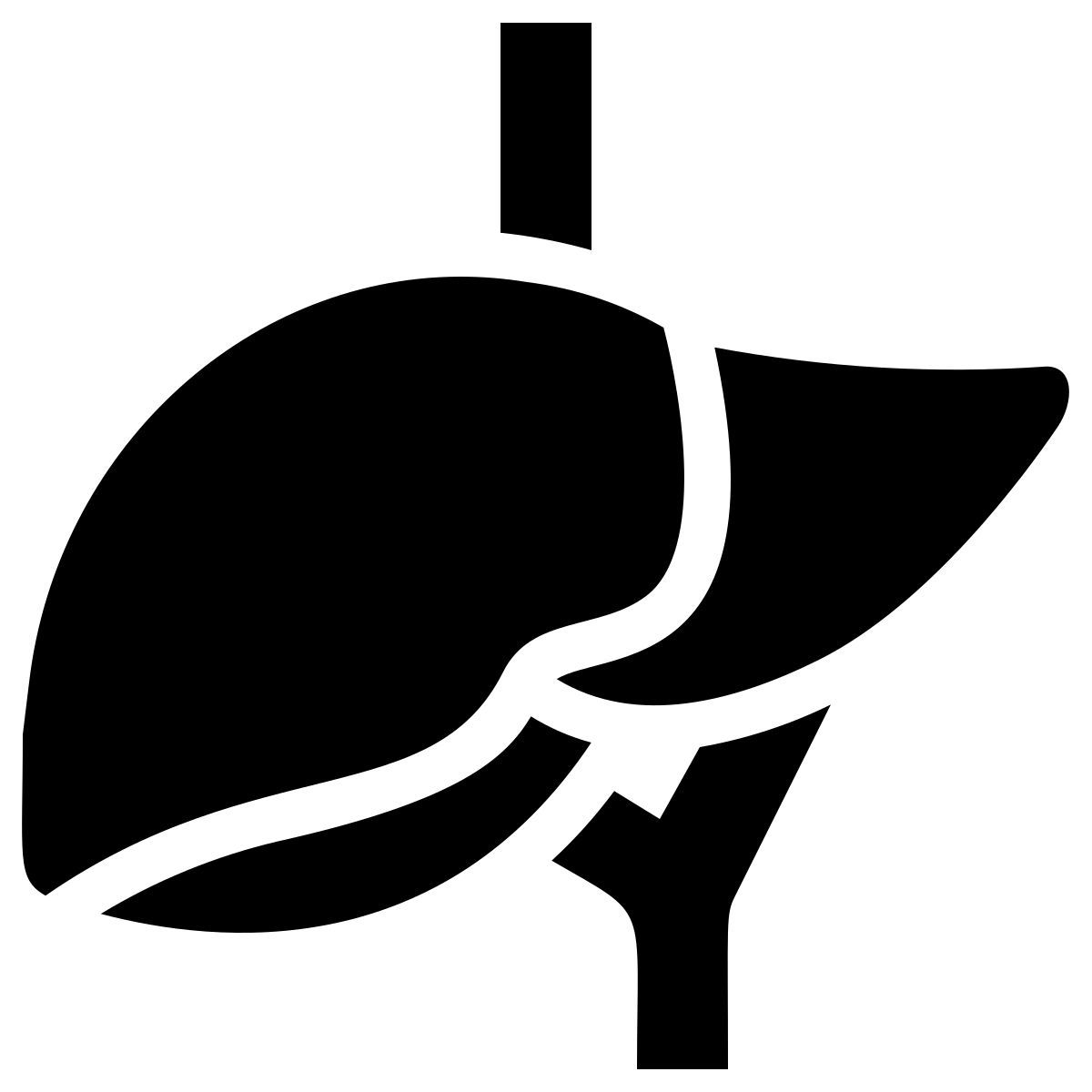 anatomie icon