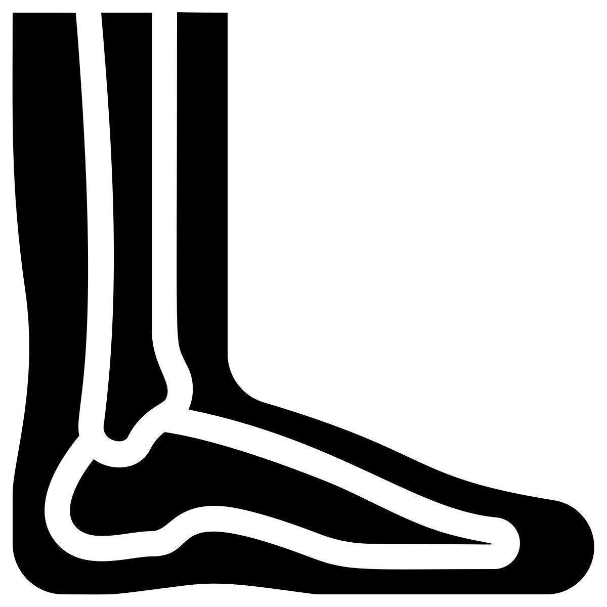 anatomy icon