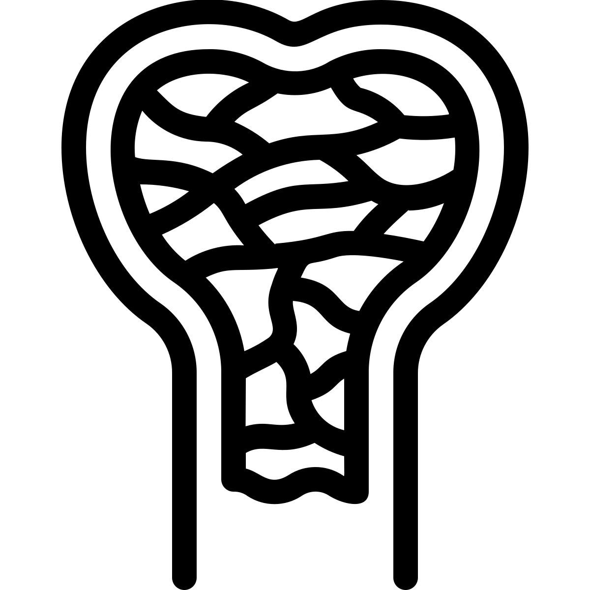 anatomia icon