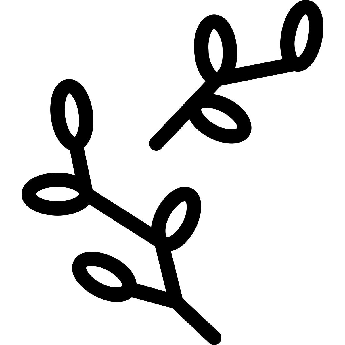 分支 icon