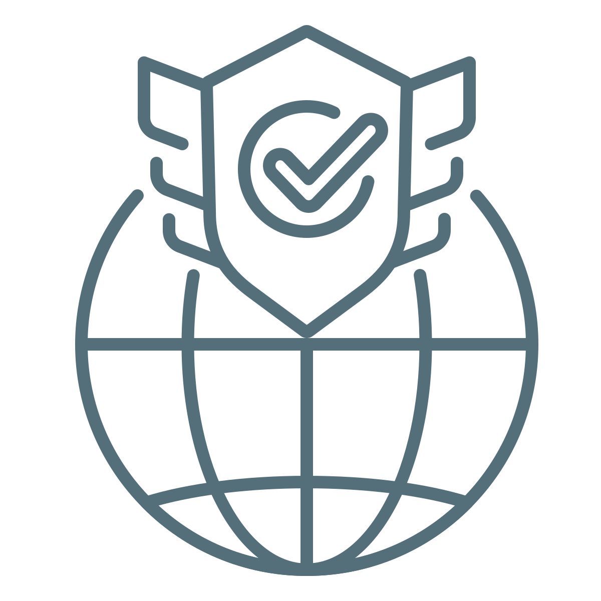 network icon