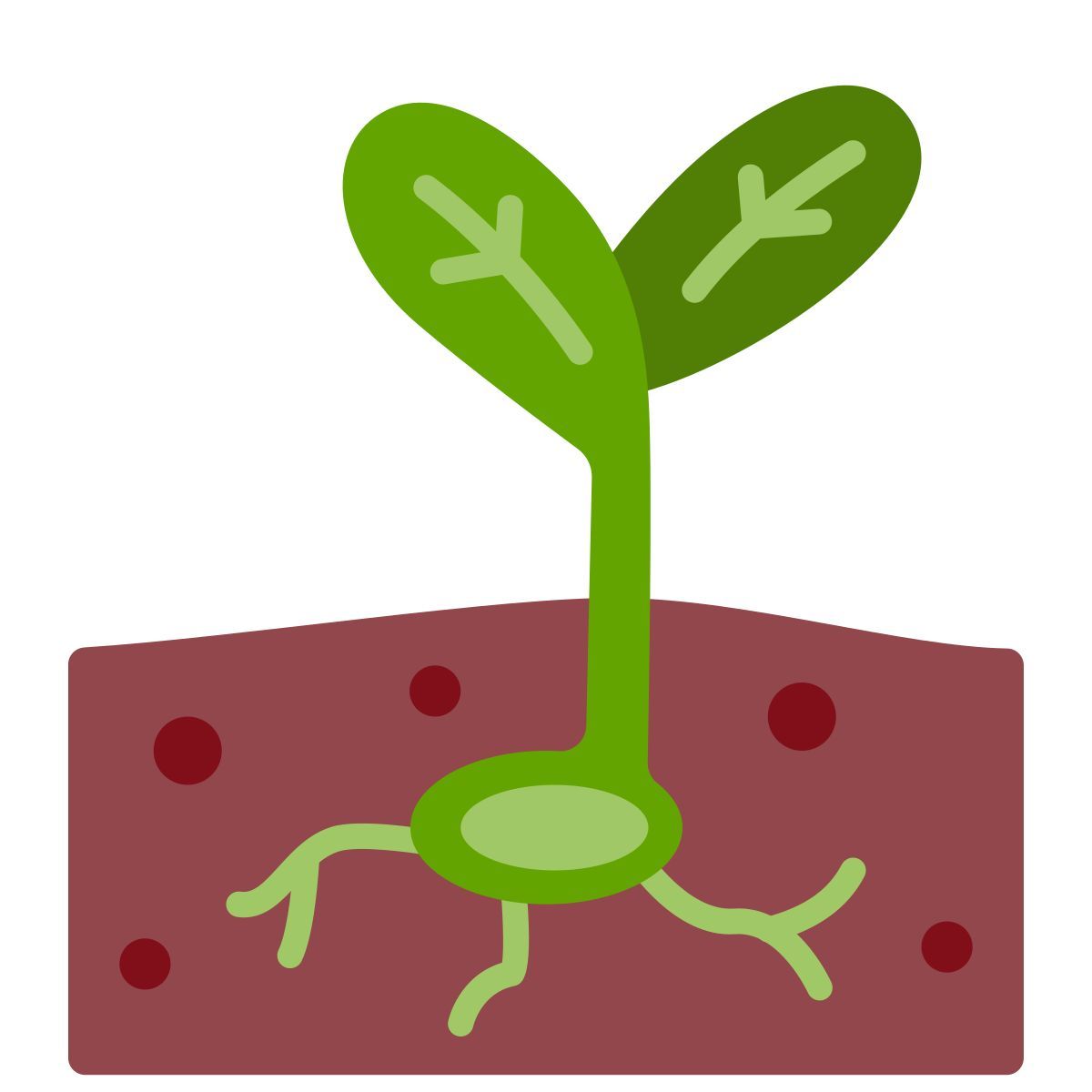 seedling アイコン