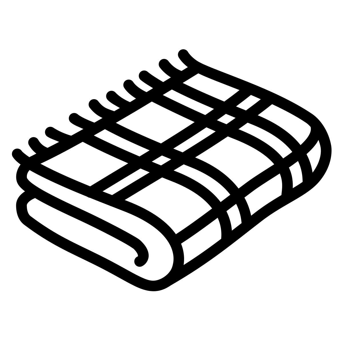 plaid blanket 图标