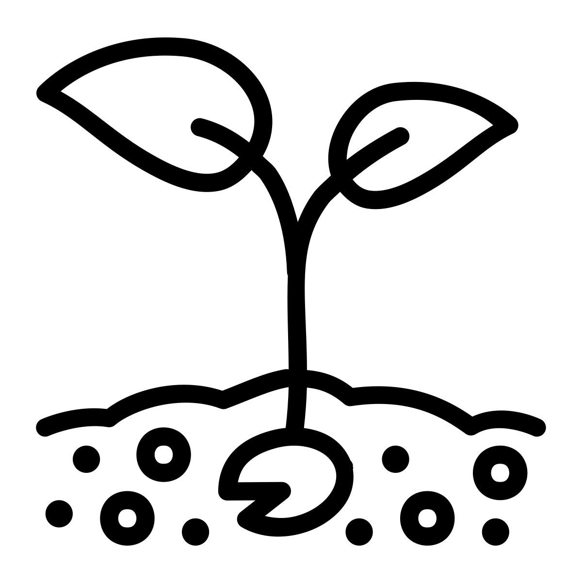 seedling アイコン