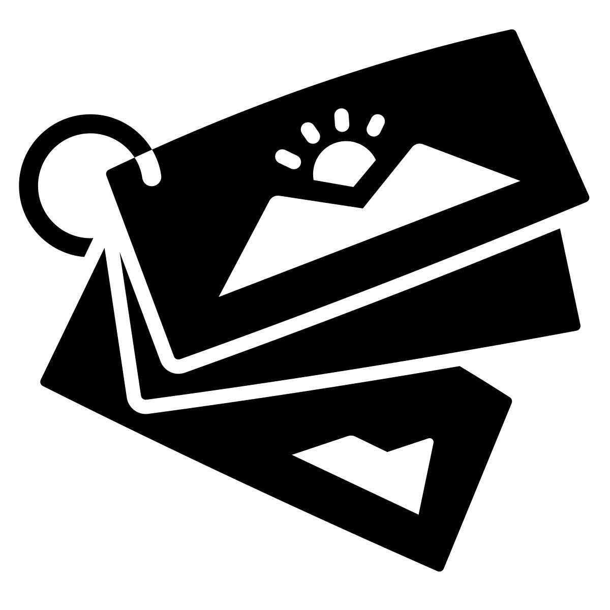icona flashcard