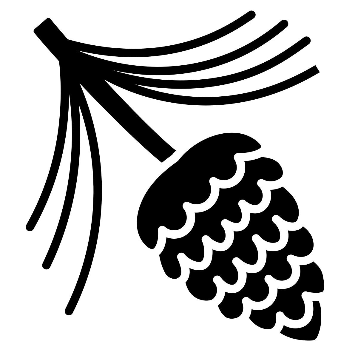 pine cone 아이콘