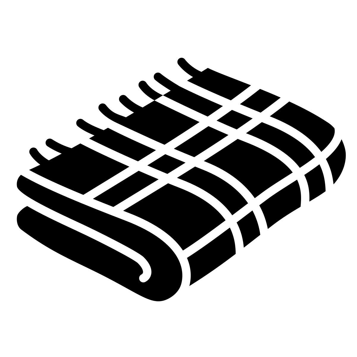 plaid blanket 图标