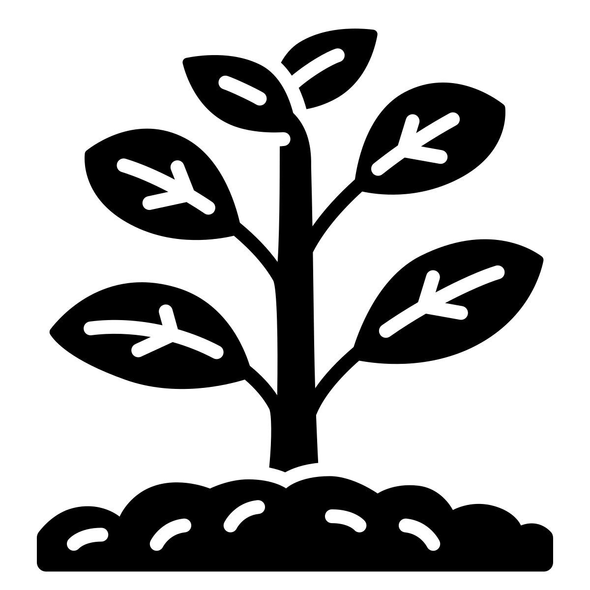 sprouting leaf Icon