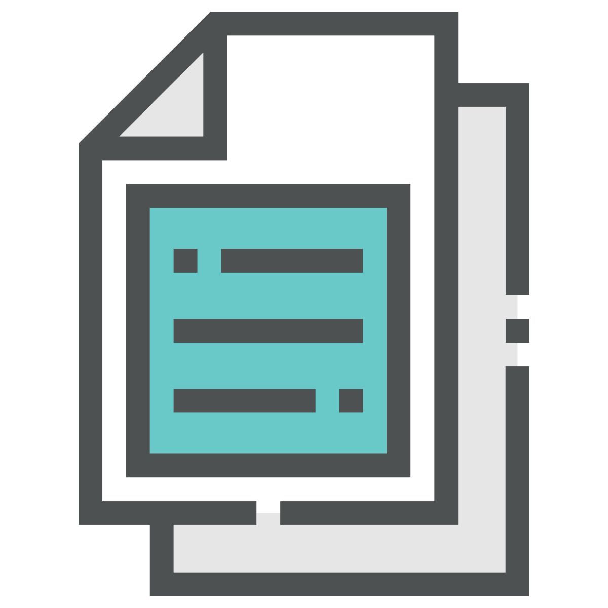 document icon