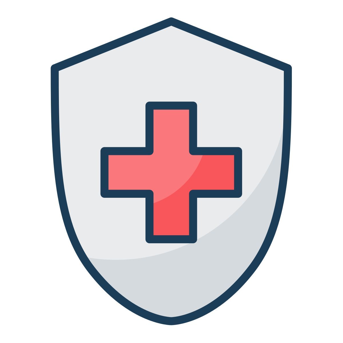 healthcare icon