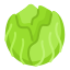 external cabbage-fruits-and-vegetables-flat-others-ghozy-muhtarom icon
