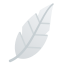external feather-organic-cosmetic-smooth-others-ghozy-muhtarom icon