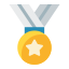 external medal-award-flat-others-ghozy-muhtarom icon