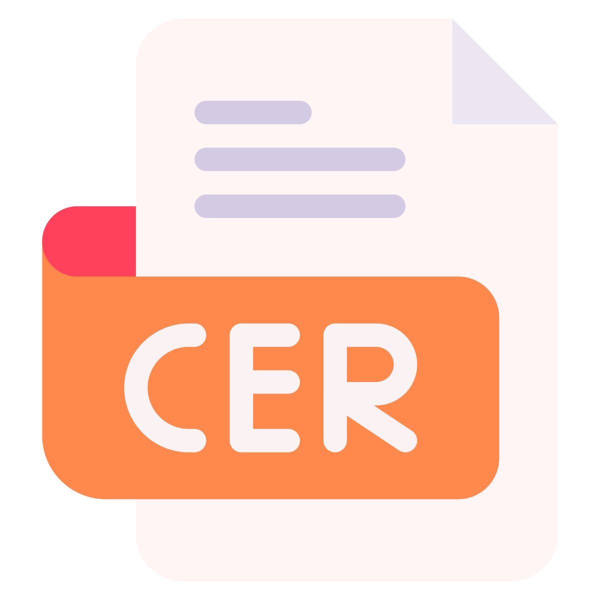 cer icon