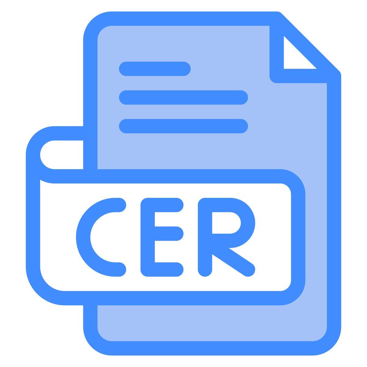cer icon