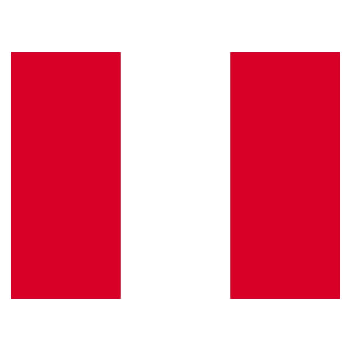 pays icon