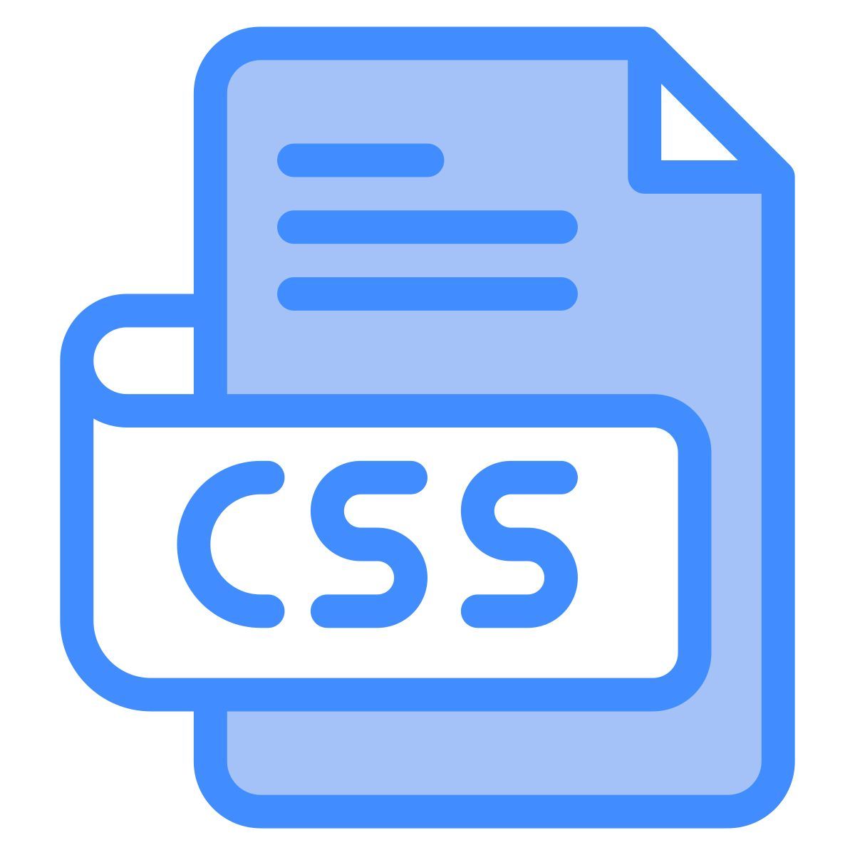type de fichier css icon