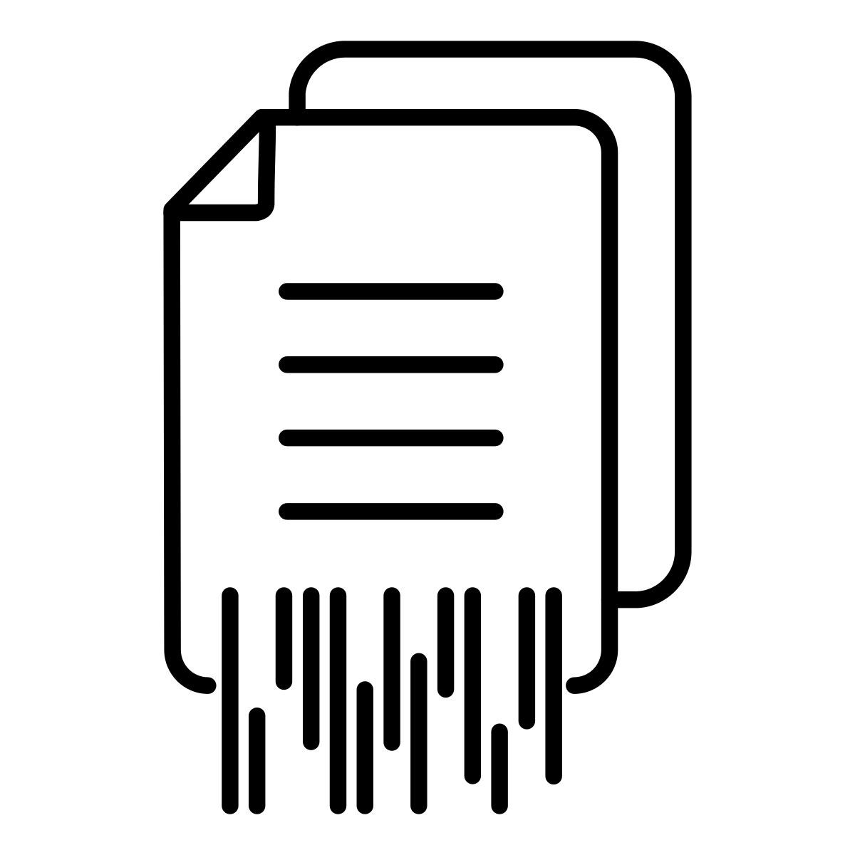 document icon
