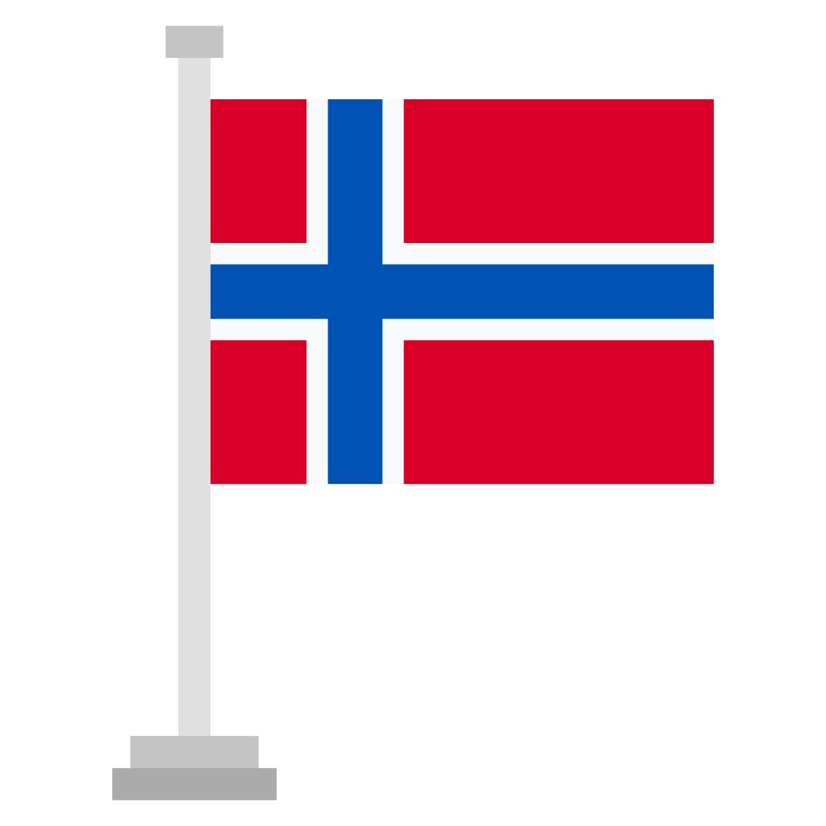 flag icon