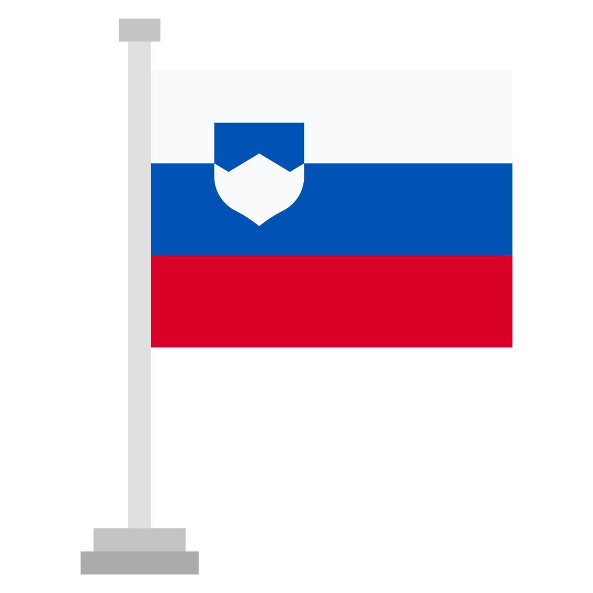 flag icon